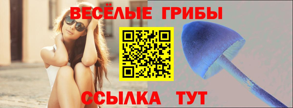 Череповец  Галлюциногенные грибы GOLDEN TEACHER  Вход с VPN  Галлюциногенные грибы Psilocybe 